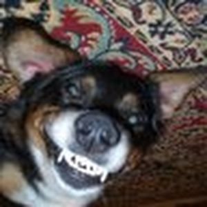 Meet your Posher, Zofia